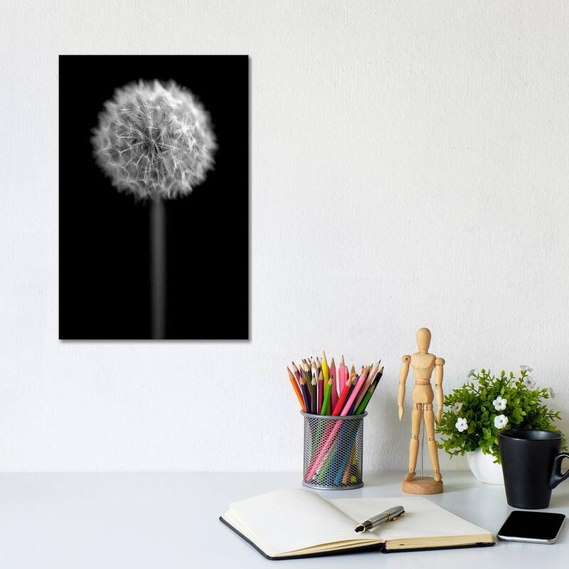 iCanvas "B&W Dandelion On Black Portrait" by Tom Quartermaine Canvas Print - 12x8x0.75