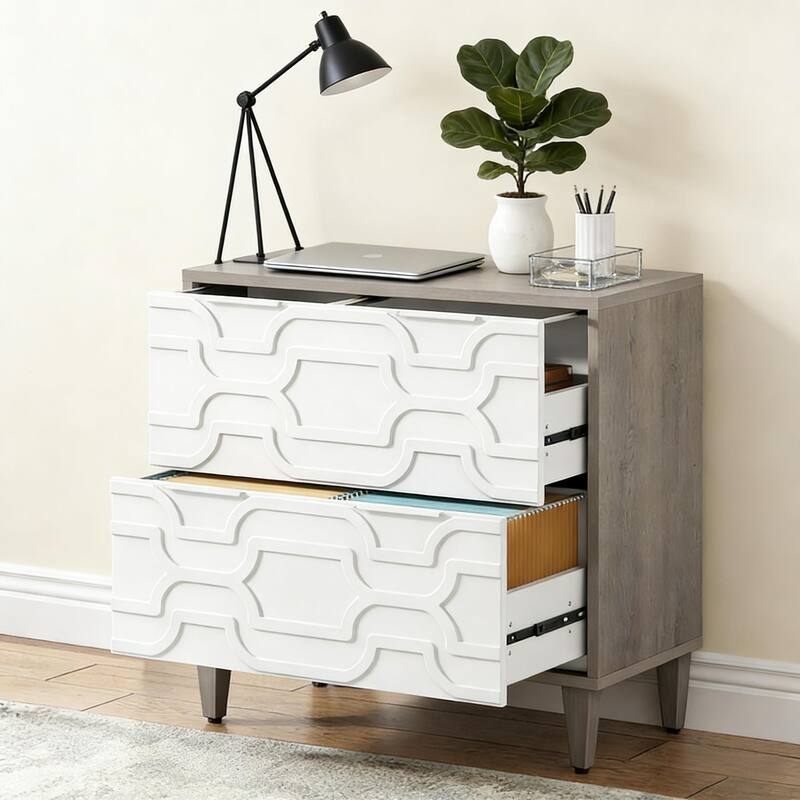 Rossetta 2-Drawer Stylish Design Versatile Storage File Cabinet with Ample Space