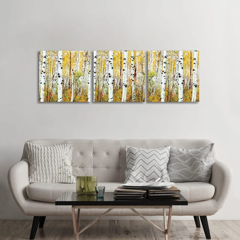 iCanvas "Aspen Trees Panorama ,Colorado" by Susanne Kremer 3-Piece Canvas Wall Art Set - 24x72x1.5