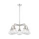 Option Polished Nickel / Seedy