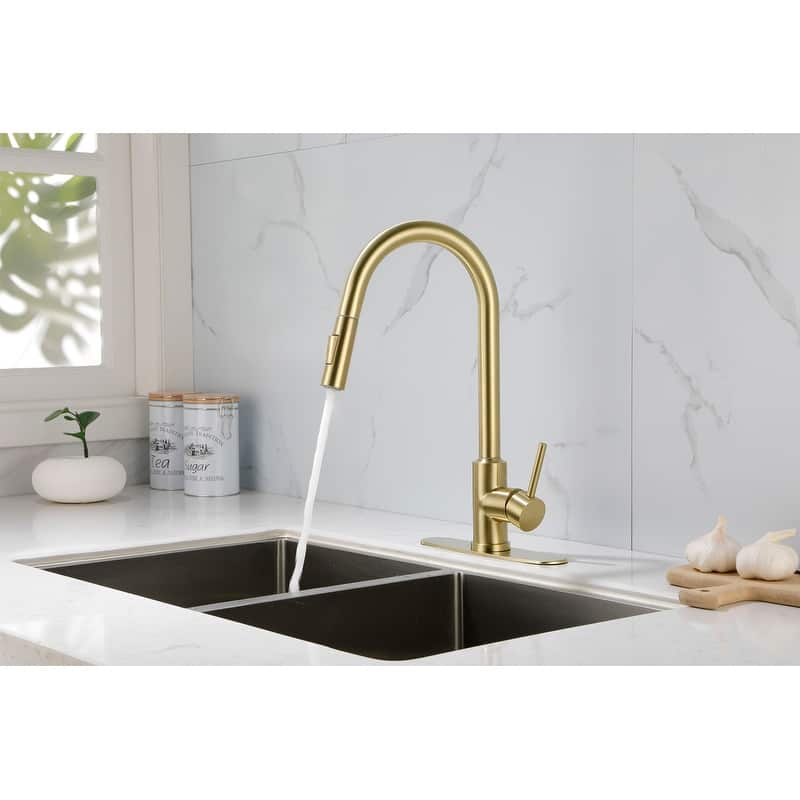 Kitchen Faucet with Pull Down Sprayer