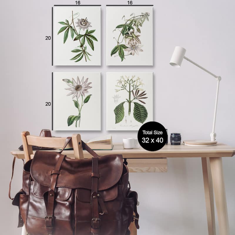 Stupell Various Vintage Botanicals Canvas Wall Art Design By CAD Design (Set of 4)