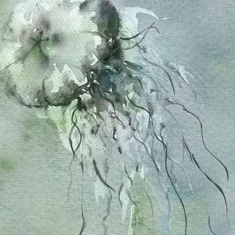 Jellyfish Blue Grey I & III by Brandi Fitzgerald Canvas Art Prints