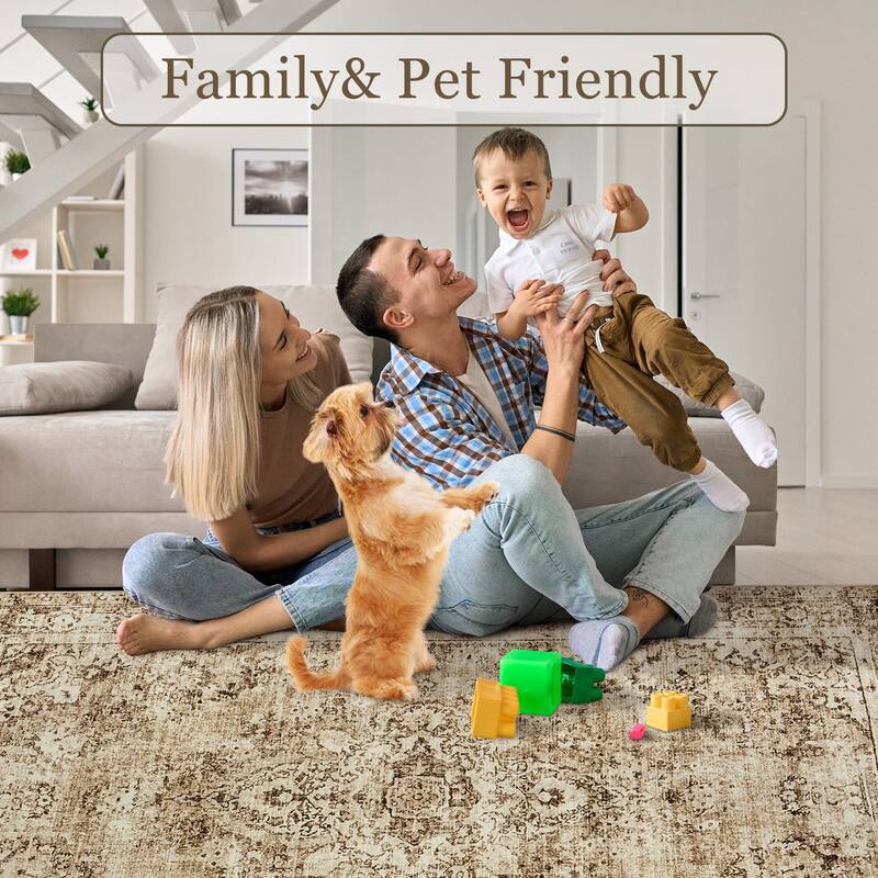 Area Rugs for Living Room Carpets Boho Washable Large Rugs for Bedroom