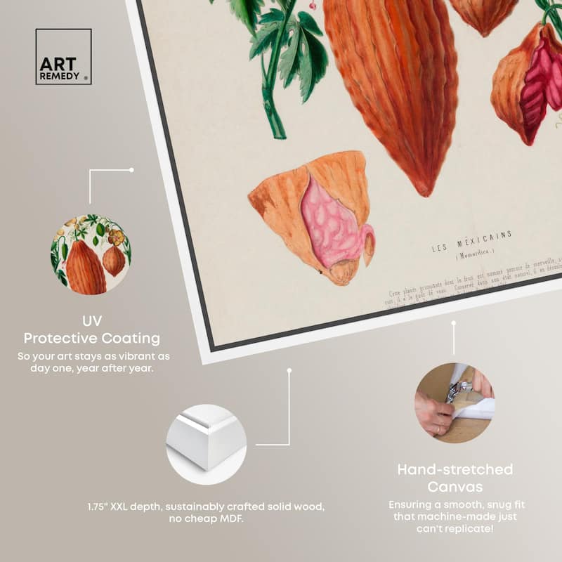 Momordica Exotic Floral Flore Canvas by Art Remedy