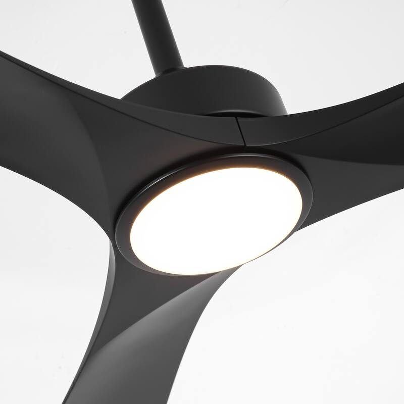 60" Modern Black ABS Propeller Indoor Ceiling Fan with Light and Remote