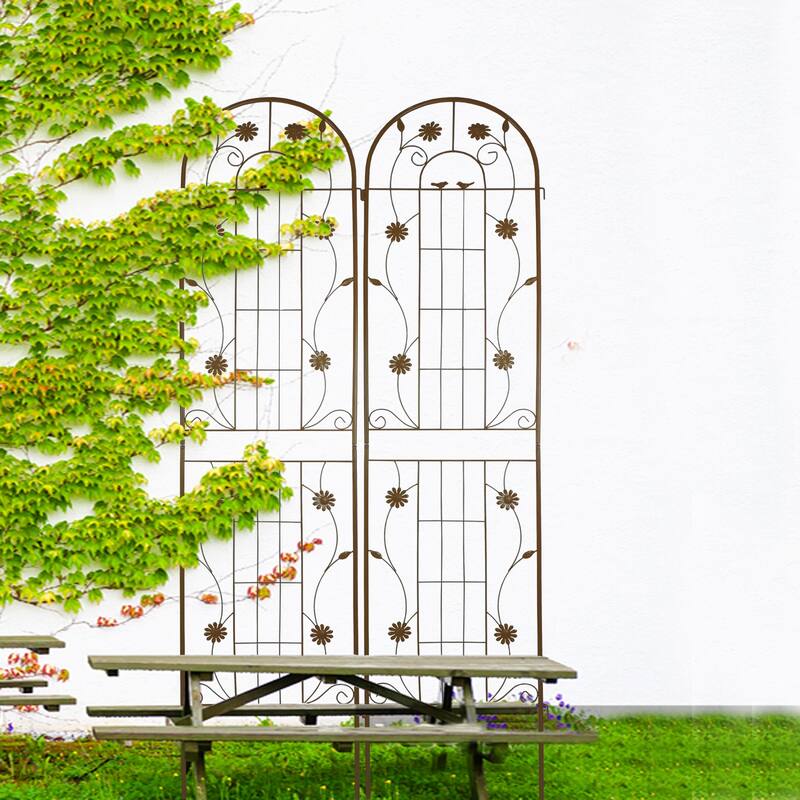 Metal Garden Trellis