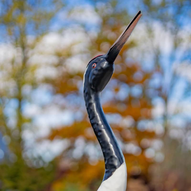 Set of 2 54" Tall Iron Black-Necked White Crane Garden Figurines