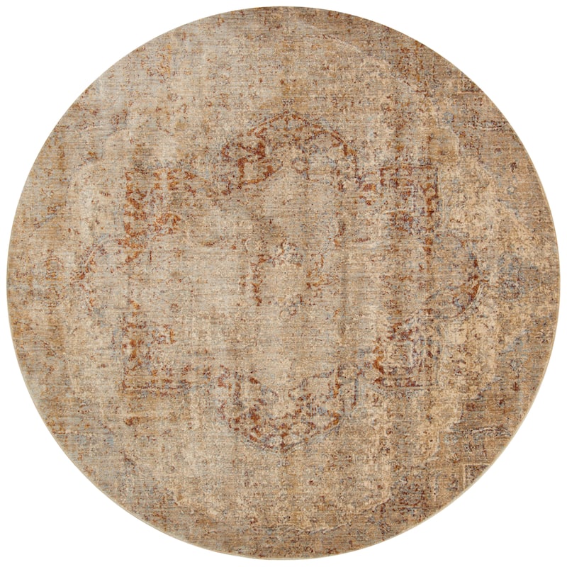 Alexander Home Contessa Traditional Medallion Desert Distressed Rug - 9'6" x 9'6" - Desert - Runner/Round