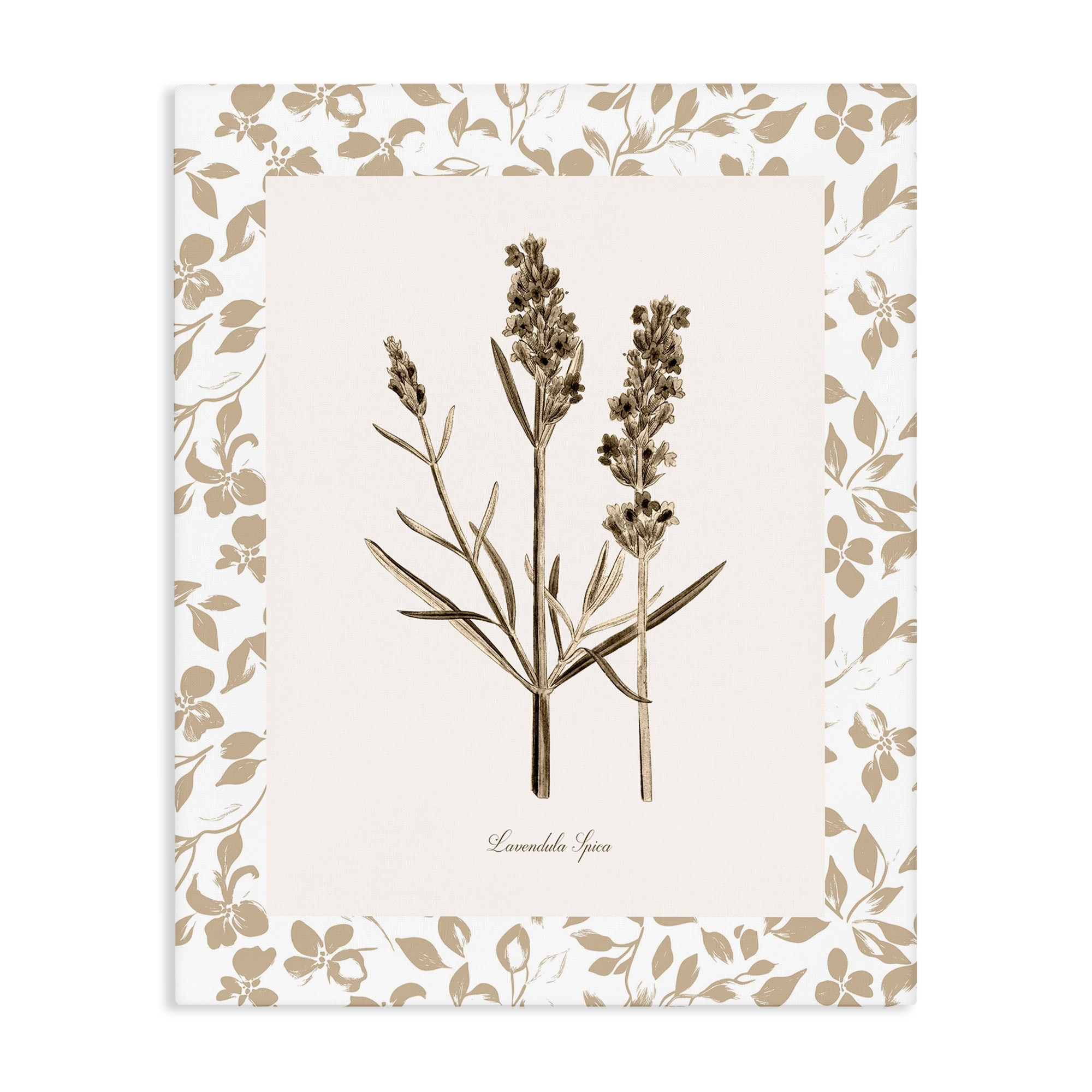 Stupell Neutral Imperial Herb Study Canvas Wall Art Design By Kelly Donovan