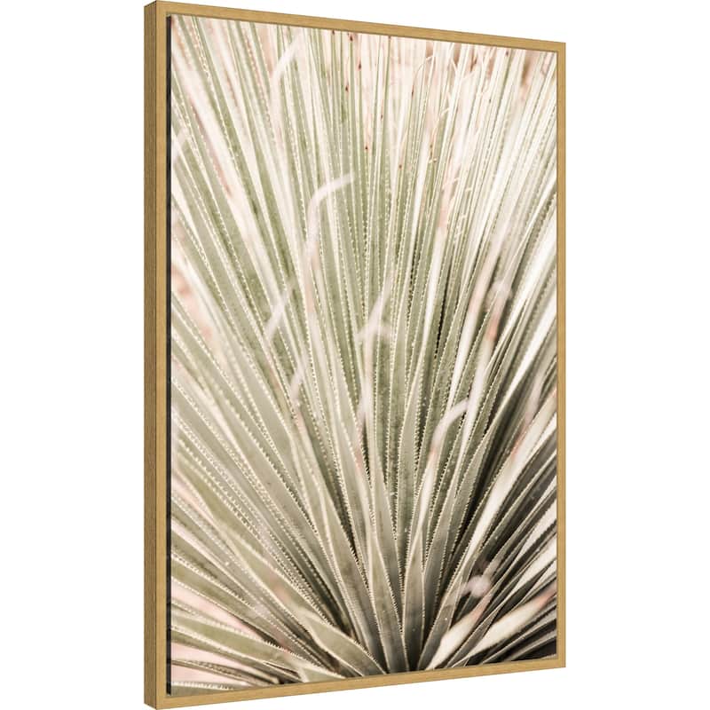 Desert Spoon by Shot by Clint Framed Canvas Wall Art Print - Sylvie Bright Gold