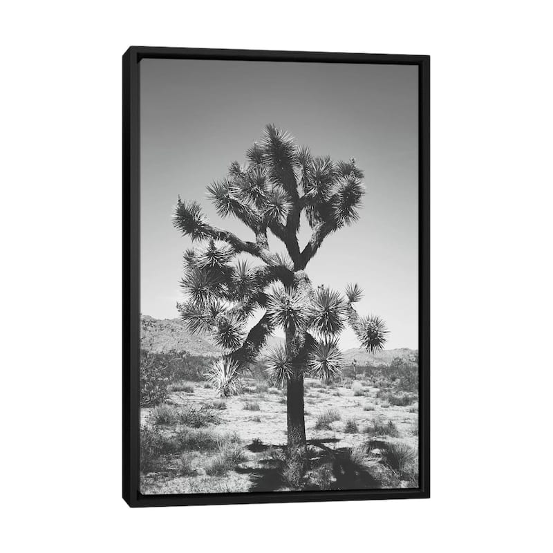 iCanvas "Joshua Tree I" by Ann Hudec Framed Canvas Print - Black - 48x32