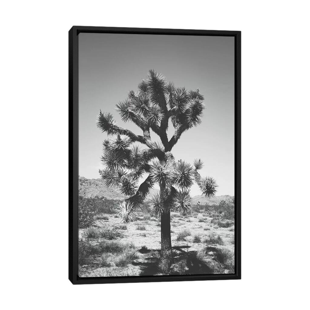 iCanvas "Joshua Tree I" by Ann Hudec Framed Canvas Print