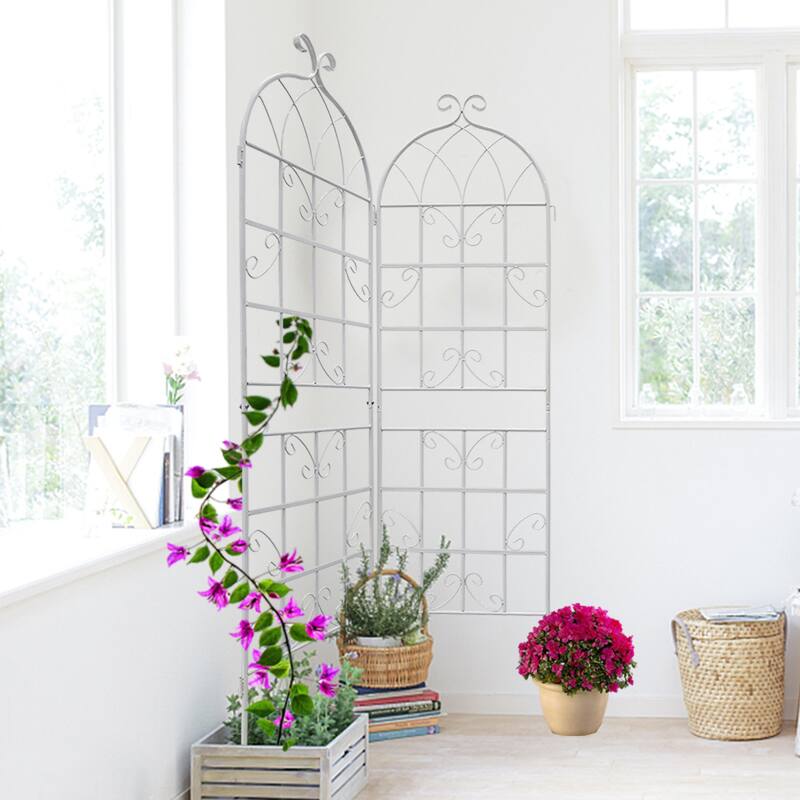 4 Pack Metal Garden Trellis 71" x 19.7" Rustproof Trellis for Climbing Plants Outdoor Flower Support Cream
