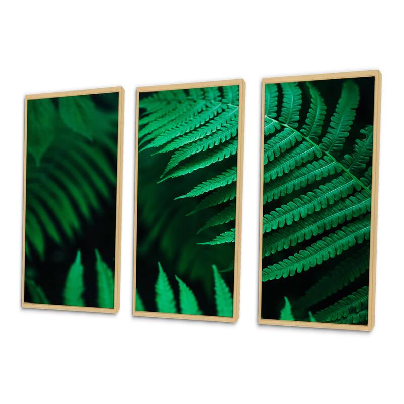 Designart "Dark Green Fern Leaf On Black III" Tropical Framed Wall Decor Set of 3 - 4 Colors of Frames