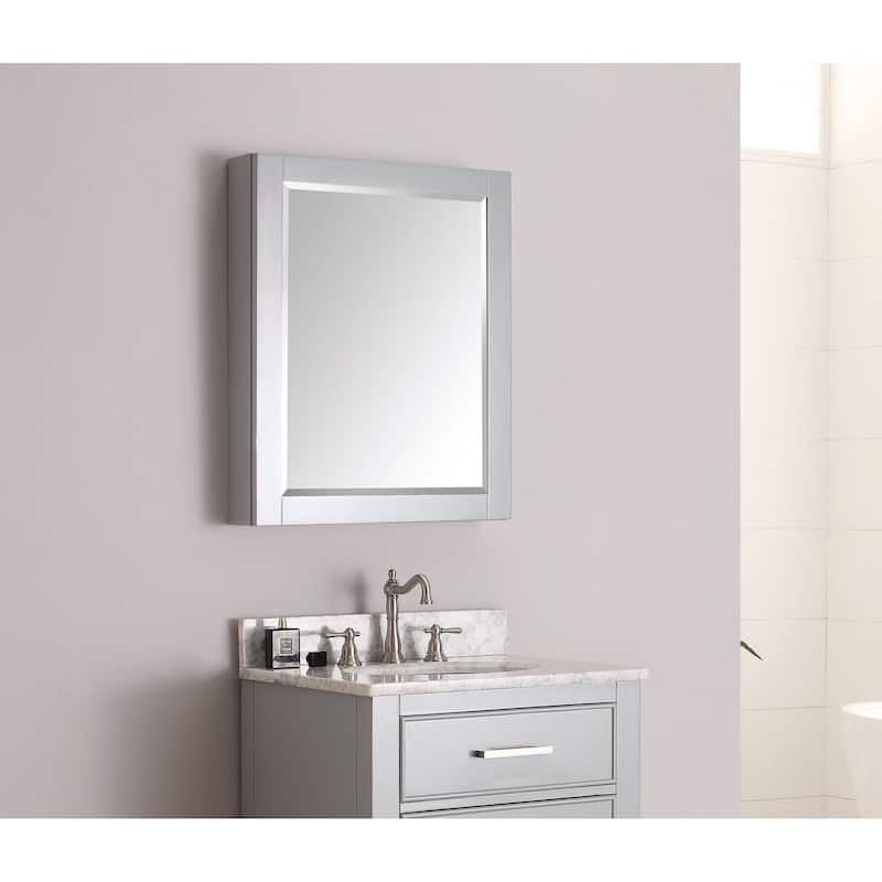 Avanity 24 in. Mirror Cabinet - 24"W x 30"H