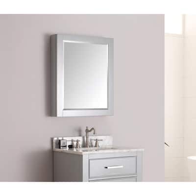 Avanity 24 in. Mirror Cabinet - 24"W x 30"H