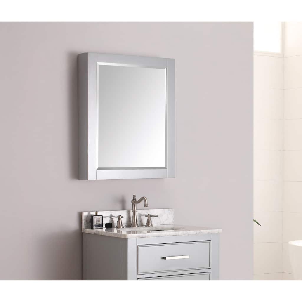 Avanity 24 in. Mirror Cabinet - 24"W x 30"H
