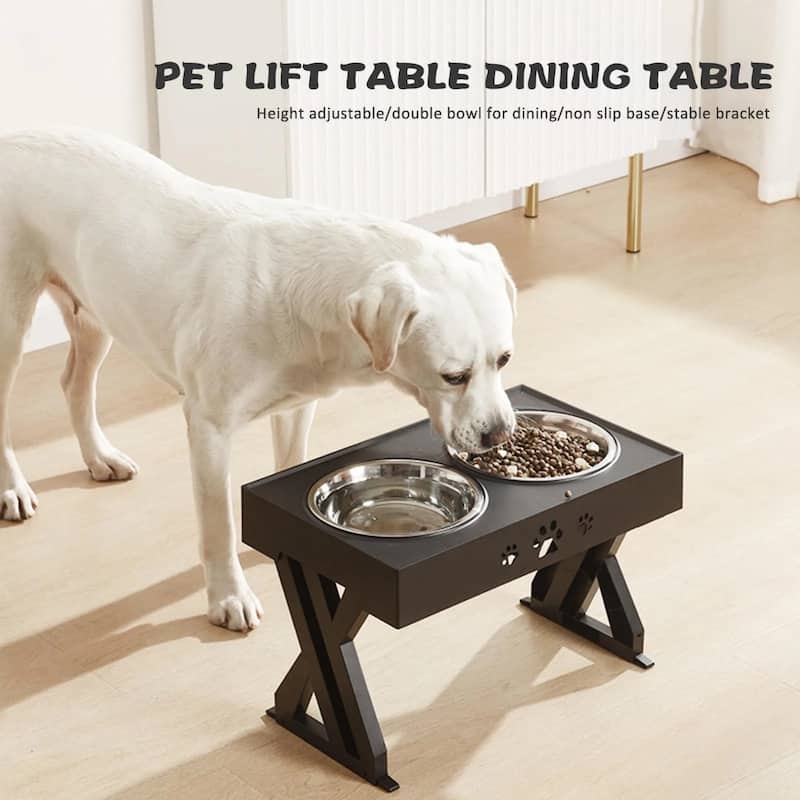 Dog Feeding Station with Stainless Steel Bowls Elevated