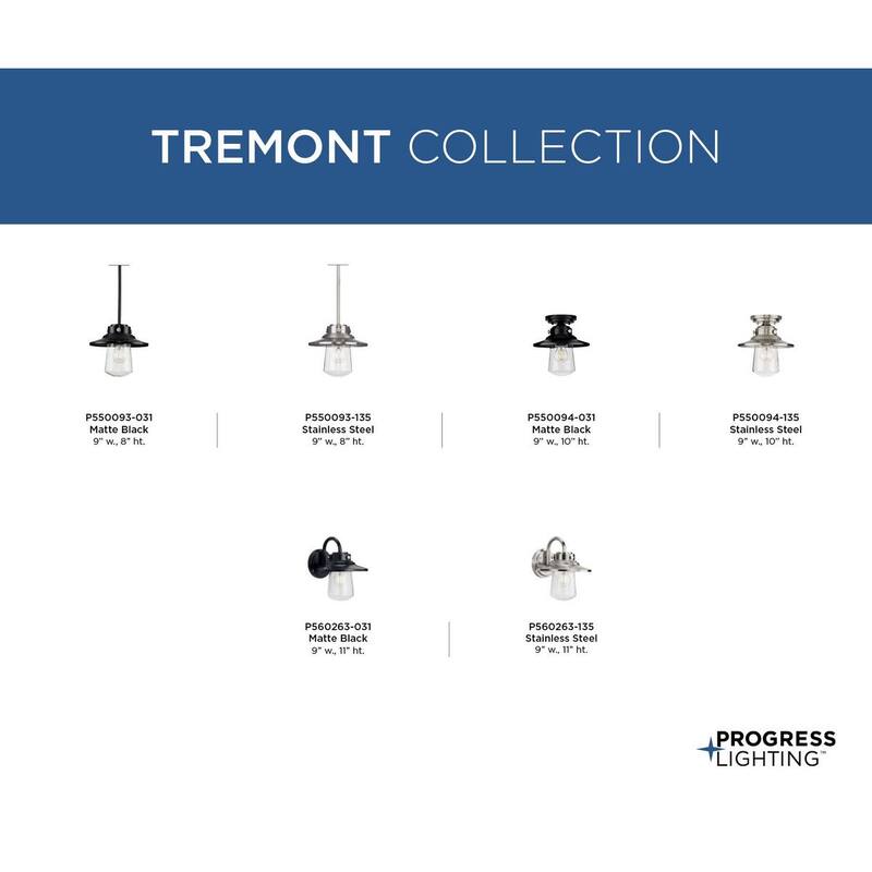 Tremont Collection 1-Light Stainless Steel Clear Seeded Glass Farmhouse Mini-Pendant Hanging Light - 9 in x 9 in x 8 in - 9 in x 9 in x 8 in