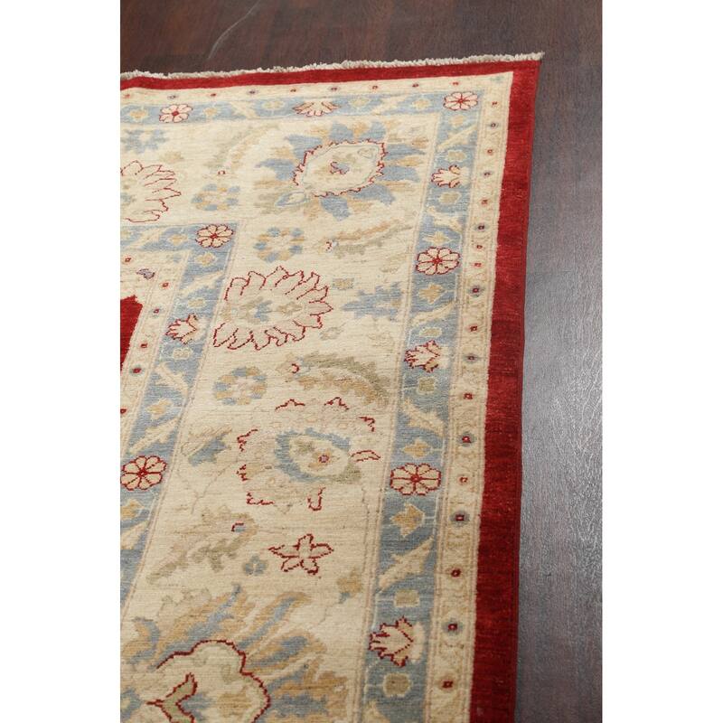Vegetable Dye Floral Ziegler Oriental Wool Area Rug Handmade Carpet - 10'1" x 13'8"