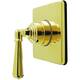 Option Polished Brass