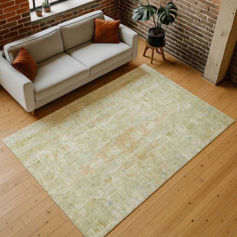Machine Washable Indoor/ Outdoor Muted Ombre Chantille Rug