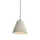 preview thumbnail 4 of 5, Golden Lighting 2419-10 Clarus 10" Wide Pendant