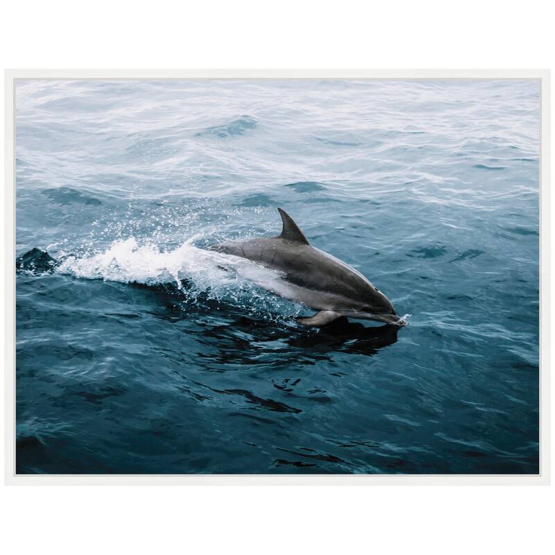 Kate and Laurel Sylvie Dolphin Skipping along in the Ocean Framed Canvas by Michael Schauer