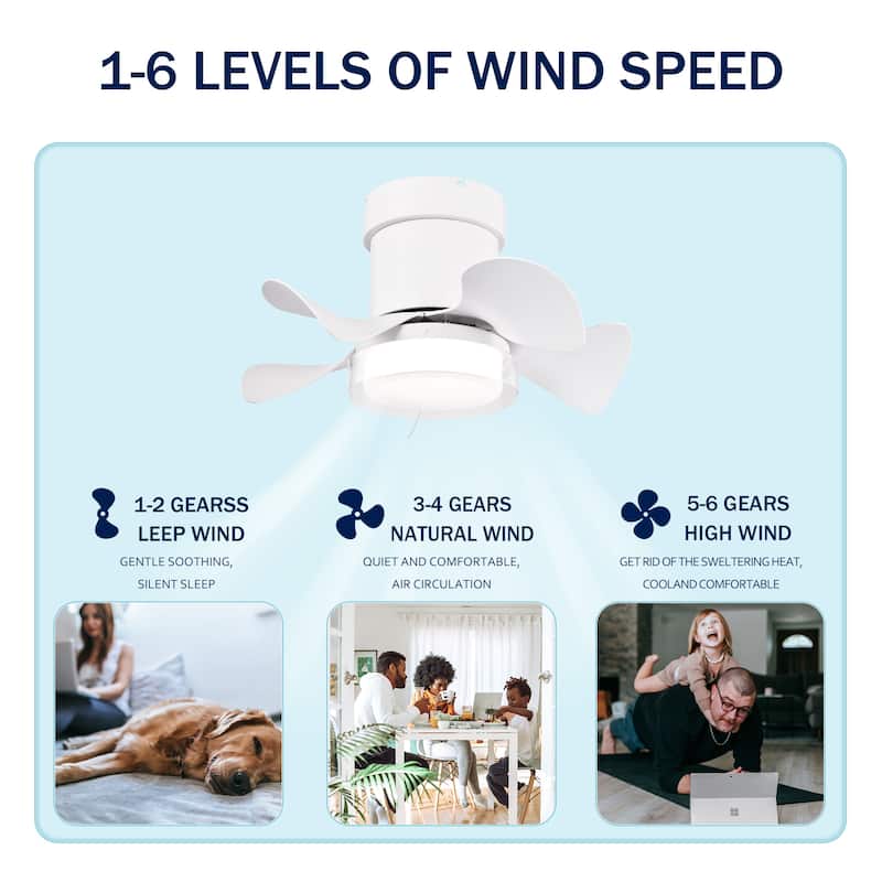 21 inch Flush Mount Ceiling Fan with Light and Remote Control, 6 Speed Reversible DC Motor, LED Ceiling Fan Lighting