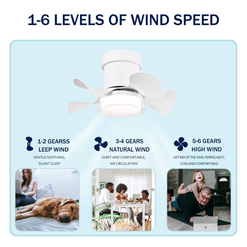 Flush Mount Ceiling Fan with 3 Color Temperatures Light & 6-Speed Remote Control DC Motor, Timer Function