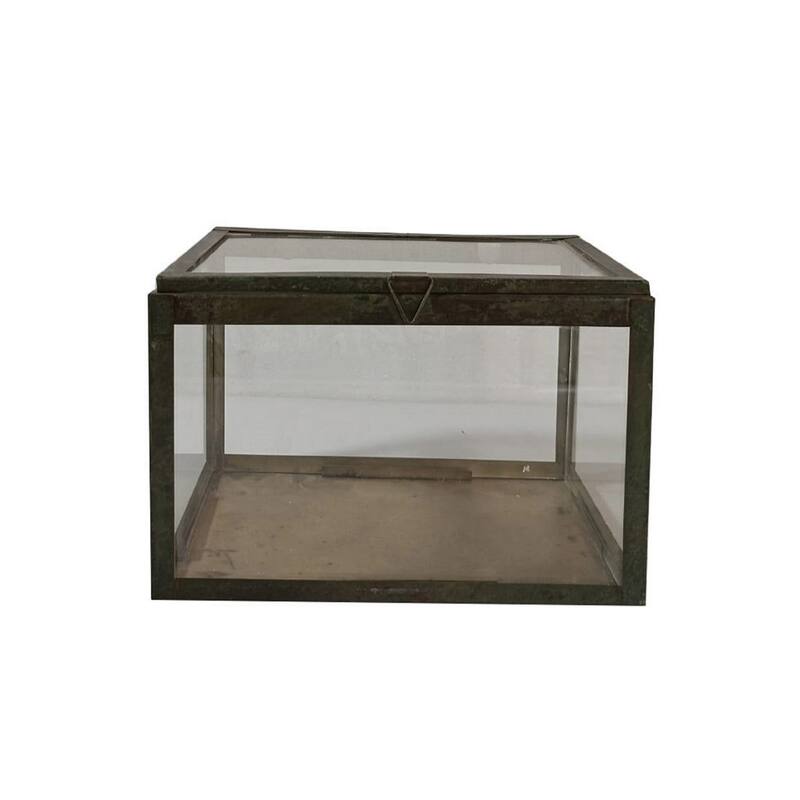Rectangular Transparent Glass Tabletop Terrarium - 10.25"