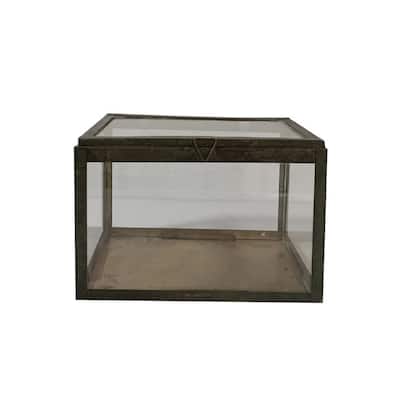 Rectangular Transparent Glass Tabletop Terrarium - 10.25"