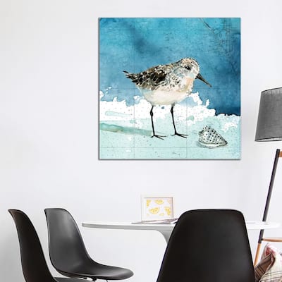 iCanvas "Bay Shore Sandpiper I" by Carol Robinson Canvas Print
