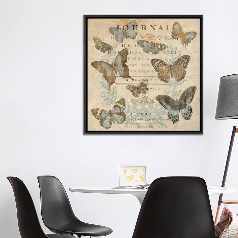 iCanvas "Papillon I" by Deborah Devellier Framed