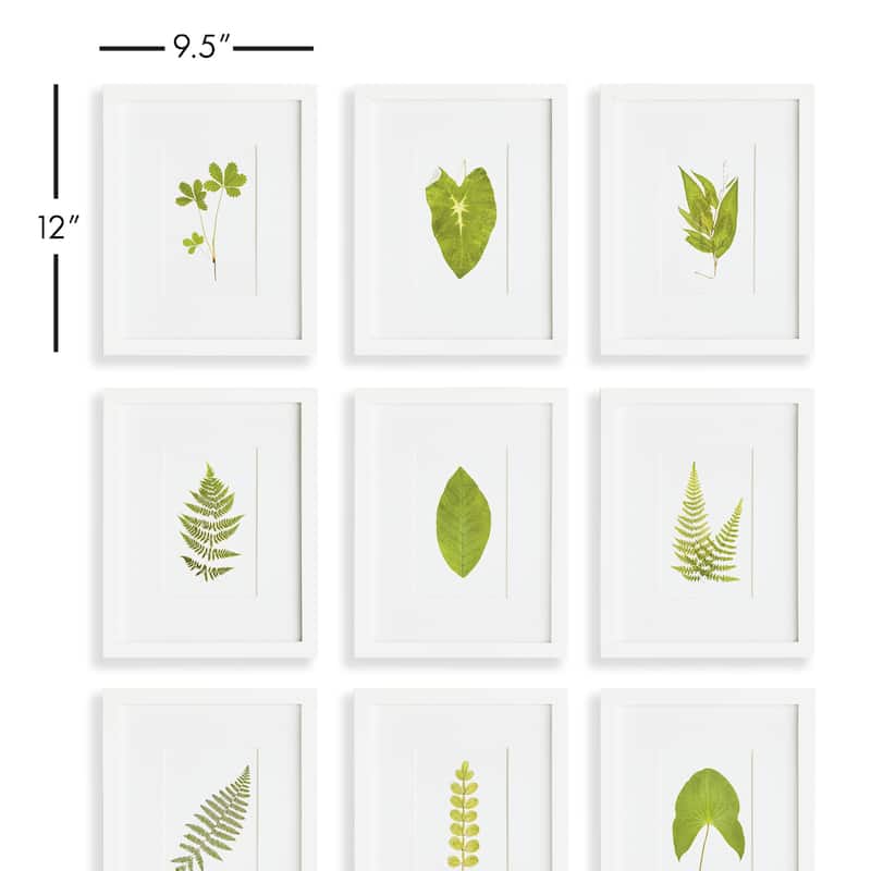 Green Leaf Petite Prints, Set Of 9
