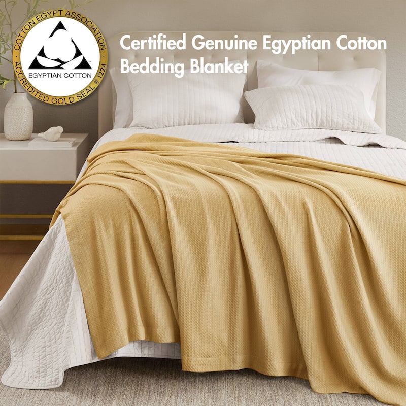 Madison Park Egyptian Cotton Solid Blanket