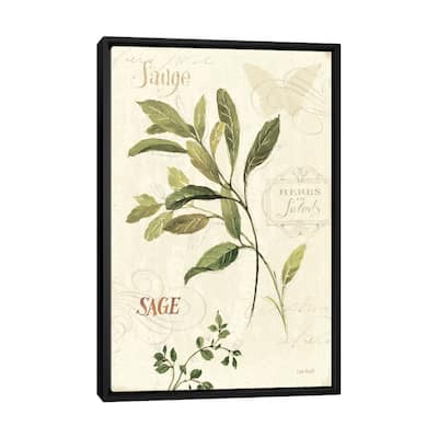 iCanvas "Aromatique IV" by Lisa Audit Framed Canvas Print