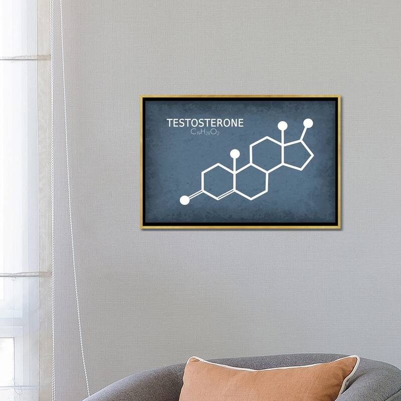 iCanvas "Testosterone Molecule" by GetYourNerdOn Framed Canvas Print