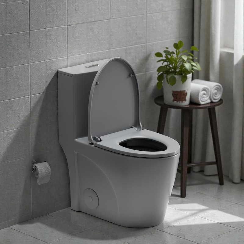 One Piece Elongated Toilet Tornado Flush. ADA Comfort Height 16.25 Inch. Dual Flush 1.1 1.6 GPF. MAP 1000g