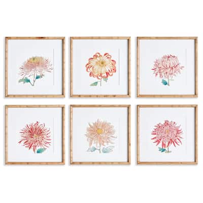 Colorful Chrysanthemum Prints, Set Of 6