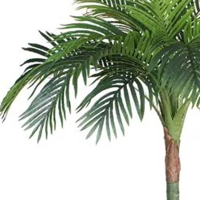 HomeRoots 63" Green Artificial Palm Tree in a Black Pot - 6.69 in. x 62.99 in. x 6.69 in.