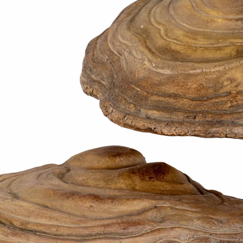 Resin Fungi Wall Decor Set of 5 - Natural, 5/6/7/8/9 in.