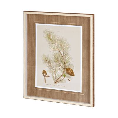 Herbal Botanical XIII Framed Art Print