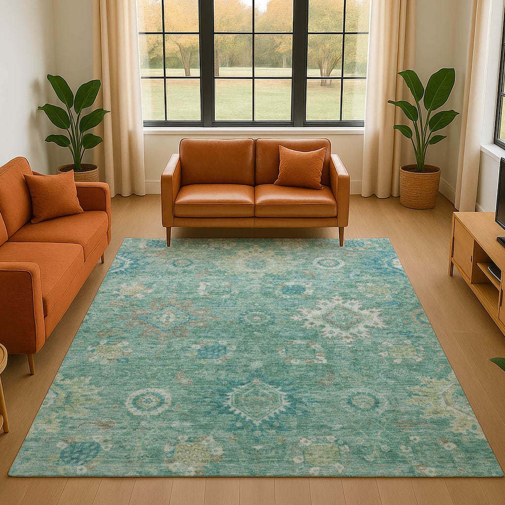 Premium Washable Super Soft Traditional Kashan Mayfield Rug