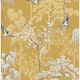 Option Ochre