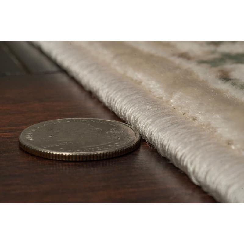 Dynamic Rugs Charlotte Traditional Area Rug