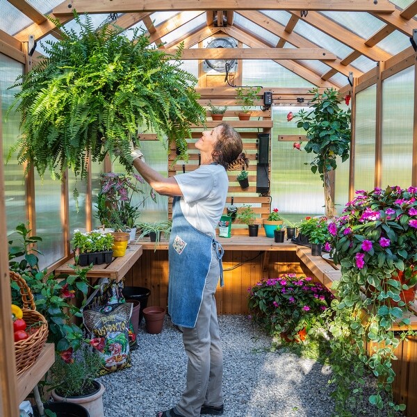 ハーベストフラワーハウス Backyard Discovery Bellerose 11'x7' Cedar Wood Greenhouse with