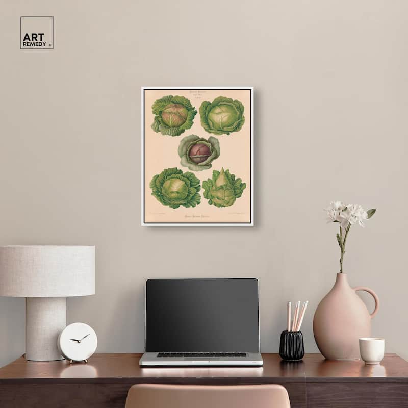 Cabbages by Benary 1876 Canvas by Art Remedy