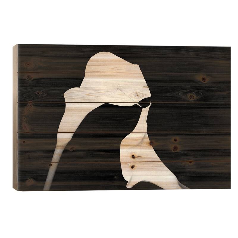 Still Life Shot Of Pierced Calla Lily Flower II Print On Wood by Panoramic Images - Multi-Color - 26x40x1.5